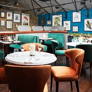 Designer Restaurant Furniture & Seating