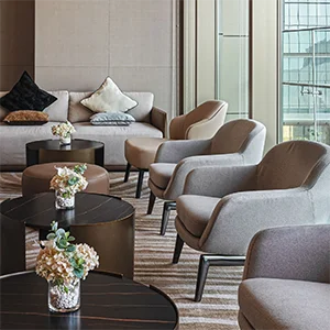Hotel Lounge Seating Furniture Set (Contemporary Design)